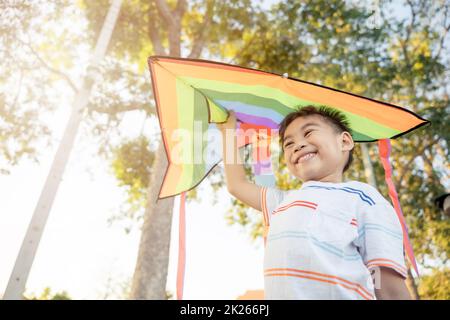 Un petit garçon asiatique heureux avec un cerf-volant qui s'évolera dans le parc Banque D'Images