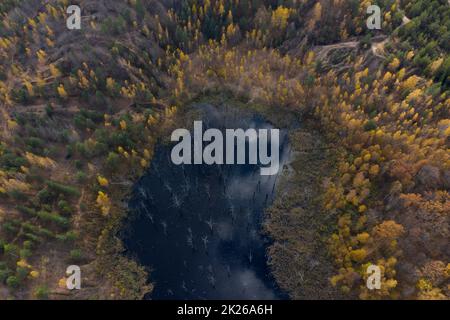 Vue aérienne des petits lacs entourés par la forêt d'automne. Banque D'Images