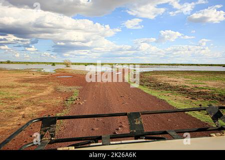 Safari touristique dans le parc national du lac Manyara, Tanzanie. Point de vue de la voiture Banque D'Images