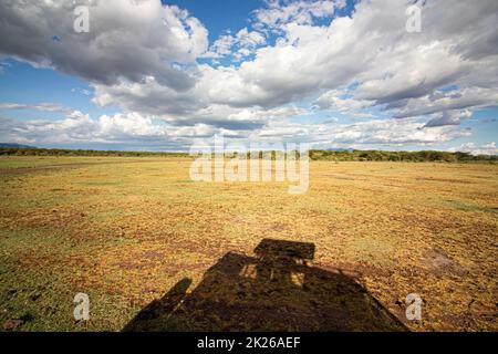 Safari touristique dans le parc national du lac Manyara, Tanzanie. Point de vue de la voiture Banque D'Images