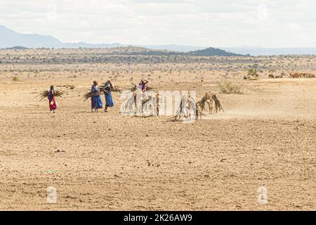 Nomades bergers et tribesfemmes dans la campagne tanzanienne, près du parc national du lac Manyara, Tanzanie. Banque D'Images