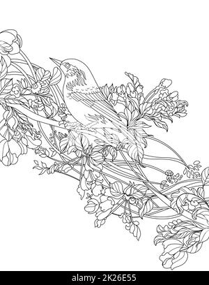 Oiseau debout sur l'arbre ligne de dessin coloriage Livre idée Banque D'Images