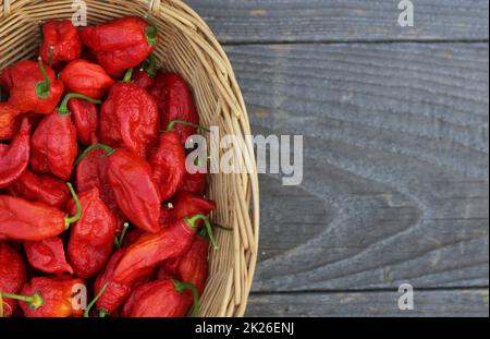 Panier de Bhut Jolokia frais Chili Ghost Peppers à la campagne marché agricole Banque D'Images