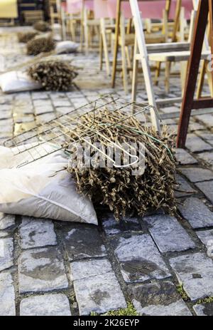 Détail de branches de vigne sèches, bois de chauffage pour griller Banque D'Images