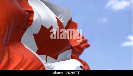 Gros plan détaillé du drapeau national du Canada qui agite dans le vent Banque D'Images