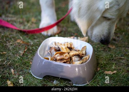 Oreilles de porc grillées dans un restaurant avec un menu pour chiens Banque D'Images