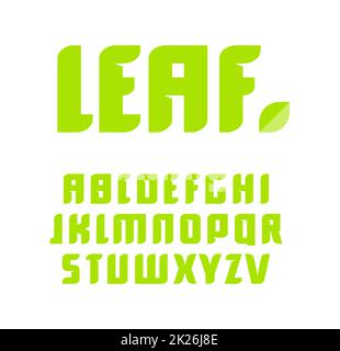 Jeu de lettres vert. Vector alphabet latin. Produit naturel font. ABC de la feuille, la nature monogramme et modèle d'affiche. Typographie design. Banque D'Images