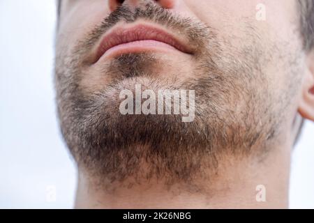 Menton mâle barbu. Barbe sur le visage d'un jeune homme. Banque D'Images