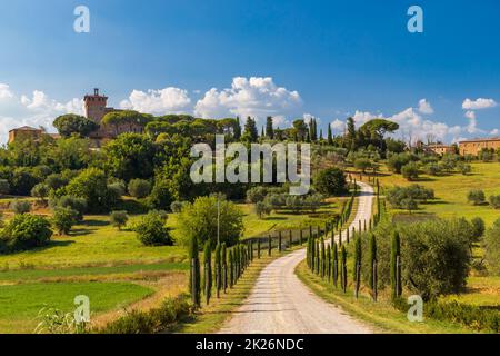 Paysage toscan typique près de Montepulciano et Monticchielo, Italie Banque D'Images