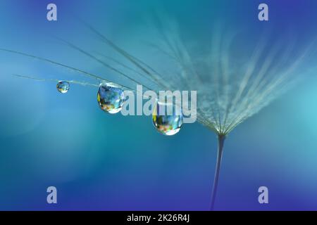 Magnifique arrière-plan nature.Design d'art floral.Abstract Macro Photography.pastel Flower.Dandelion Flowers.Blue Background.Creative Artistic Wallpaper.invitation de mariage.Celebration,Love.Close View.Water Drops.paisible arrière-plan naturel. Banque D'Images