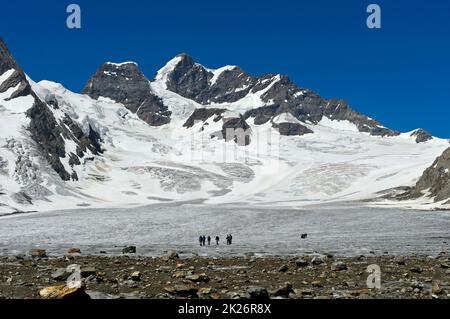 Un groupe d'alpinistes sur le champ de glace de la Jungfraufirn, le sommet de la Jungfrau derrière, les Alpes suisses Jungfrau-Aletsch, classées au patrimoine mondial de l'UNESCO, Grindelwal Banque D'Images