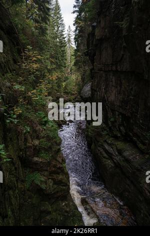 Rivière de montagne près de Kamienczyk Waterfall dans les Sudètes polonais près de la ville de Szklarska Poreba. Banque D'Images