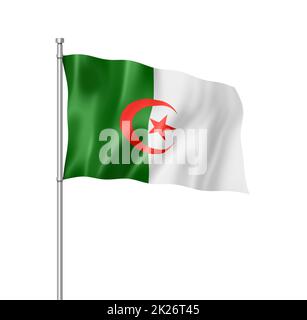 Drapeau algérien isolé sur blanc Banque D'Images