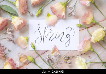 Carte avec le ressort de texte entouré de fleurs roses Banque D'Images