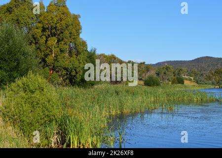 Vue sur le lac Wallace dans la région rurale de Nouvelle-Galles du Sud, Australie Banque D'Images