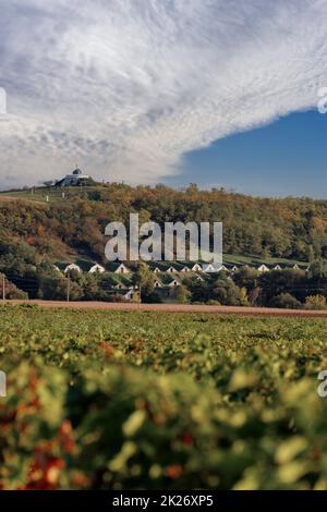 Gombos-hegyi pincesor à Hercegkut, site de l'UNESCO, Grande Plaine, Hongrie du Nord Banque D'Images