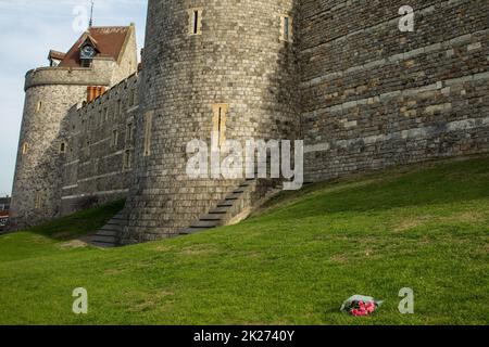 Windsor, Royaume-Uni. 22nd septembre 2022. Un bouquet solitaire de roses roses se trouve sur l'herbe à l'extérieur du château de Windsor trois jours après les funérailles et l'internement de la reine Elizabeth II La reine Elizabeth II, le monarque le plus longtemps au Royaume-Uni, est décédée à Balmoral à l'âge de 96 ans le 8th septembre 2022 après un règne de 70 ans. Crédit : Mark Kerrison/Alamy Live News Banque D'Images