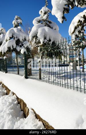 photos du paysage de la neige, accumulation de neige et de pins sur le mur Banque D'Images