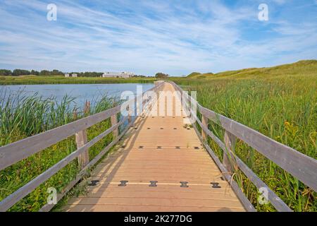 Promenade sur un étang de Wetland Banque D'Images