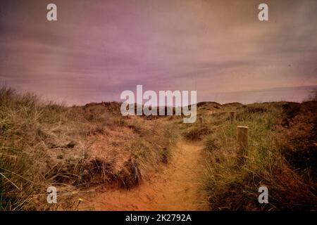 Ancienne photo de style rétro d'une allée de sable avec roseaux d'herbe sur les dunes de sable de plage Banque D'Images