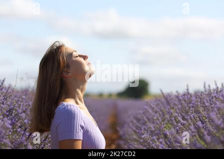 Femme se détendant dans le champ de lavande respirant de l'air frais Banque D'Images