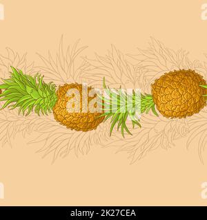 motif vectoriel ananas Banque D'Images