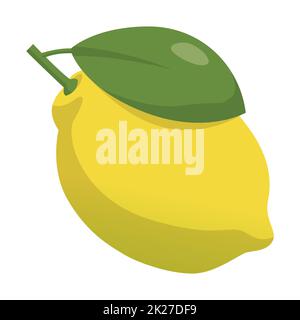 Citron mûr et réaliste isolé sur fond blanc - Vector Banque D'Images