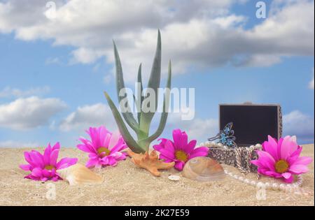 Bijoux et plante d'aloès sur la plage avec fond ciel bleu Banque D'Images