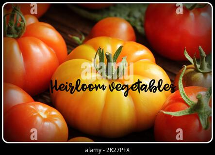 Heirloom variété tomates sur table rustique. Tomate de couleur - rouge, jaune, orange. Conception de cuisine Légumes Récolte Banque D'Images