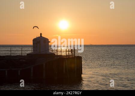 Entrée au port avec mouette au coucher du soleil / Mer Baltique Banque D'Images