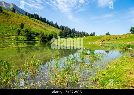 Lac des Confins et paysage de montagne à la Clusaz, France Banque D'Images