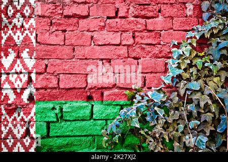 Le Bélarus grunge le drapeau sur le mur de briques avec l'usine de lierre Banque D'Images