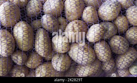 Faites de jeunes pommes de terre crues dans un sac en filet bleu pour un gros plan. Un sac de pommes de terre crues et sales sur le marché des agriculteurs. Banque D'Images