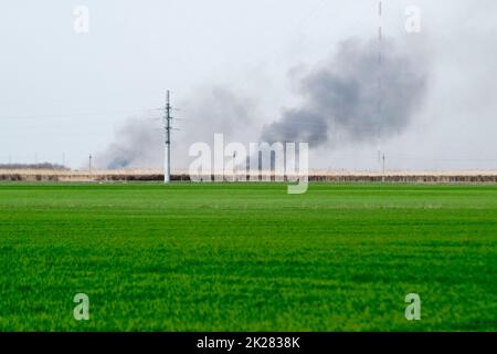 Le feu est loin dans le champ. Clubs de fumée de la combustion des roseaux et de la canne. Banque D'Images