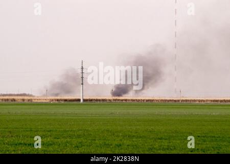 Le feu est loin dans le champ. Clubs de fumée de la combustion des roseaux et de la canne. Banque D'Images