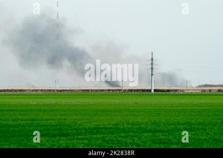 Le feu est loin dans le champ. Clubs de fumée de la combustion des roseaux et de la canne. Banque D'Images