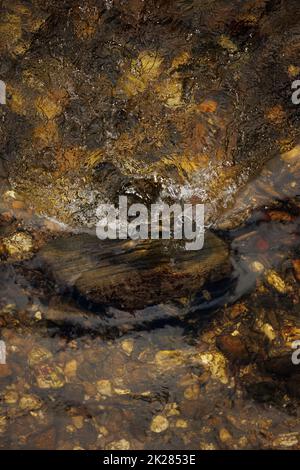 Eau coulant sur pierre dans le lit de la rivière Banque D'Images