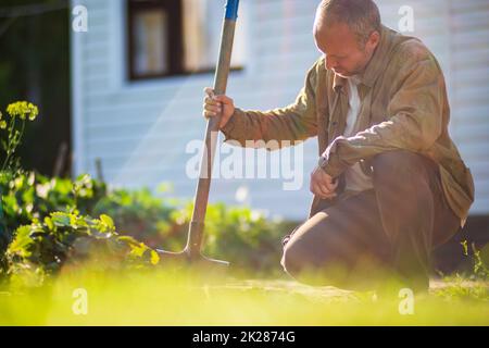 Le fermier avec une pelle dans le jardin. Préparation du sol pour la plantation de légumes. Concept de jardinage. Travaux agricoles sur la plantation Banque D'Images