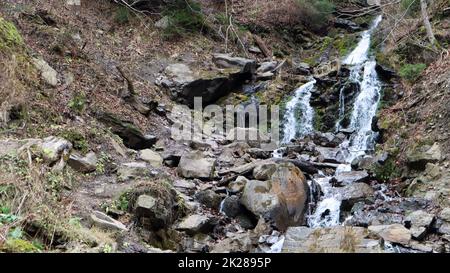 Cascades dans un petit canyon avec des murs en pierre. Belle cascade dans les montagnes. rivière dans les Carpates dans la forêt d'automne de montagne. vue panoramique, le mouvement de l'eau. Banque D'Images