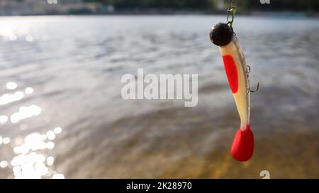 Ukraine, Kiev - 2 juin 2020: Poissons en silicone chancelants suspendus sur une tige de rotation, sur le fond de l'eau. leurres de pêche pour poissons prédateurs. Copier l'espace. Sport et loisirs Banque D'Images