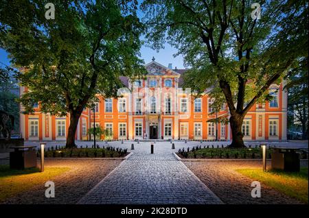 Académie des Beaux-Arts de Varsovie - le Palais de Czapski - l'architecture baroque polonaise Banque D'Images