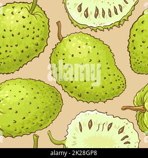 motif vectoriel de fruits soursop sur fond de couleur Banque D'Images