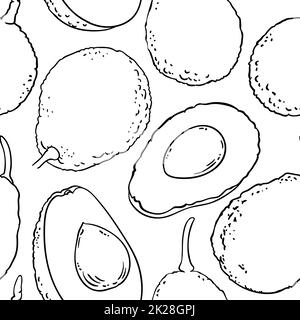 motif vectoriel de fruits d'avocat sur fond blanc Banque D'Images