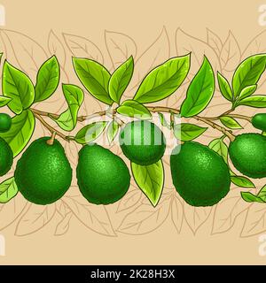 motif vectoriel de branches d'avocat Banque D'Images