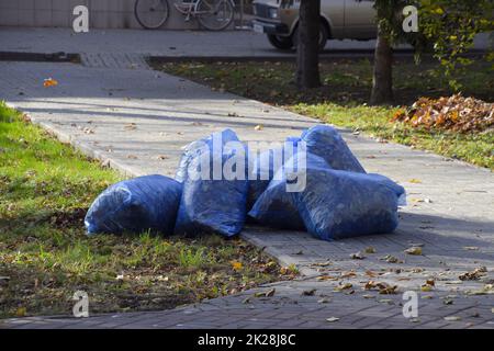 sacs avec feuilles sèches. Nettoyage des feuilles dans le parc Banque D'Images