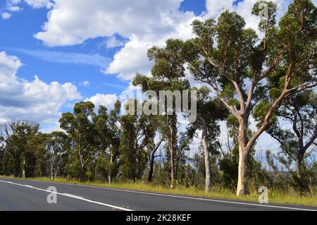 Vue sur la campagne le long de Chifley Drive près de Clarance, Nouvelle-Galles du Sud, Australie Banque D'Images