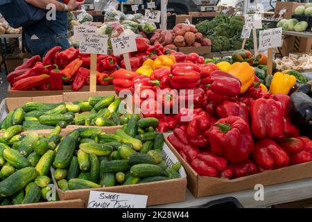 Légumes dans l'Union Square Greenmarket à New York mercredi, 21 septembre 2022. (© Richard B. Levine) Banque D'Images