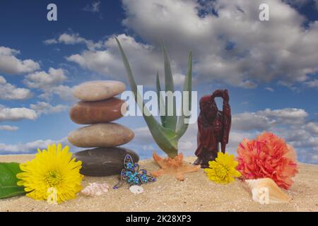 Statue chinoise avec plante de Vera d'aloès et fleurs sur sable avec ciel bleu et nuages Banque D'Images