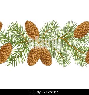 motif vectoriel de branches de sapin sur fond blanc Banque D'Images