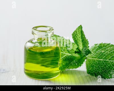 Melissa ou huile de menthe avec des feuilles vertes Banque D'Images